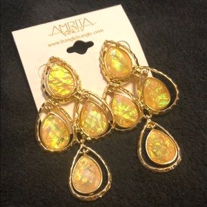 Amrita Singh dangle earrings. BNWT, never worn.